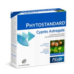 Pileje Phytostandard Cypres Astragale 30 Tablets Phytostandard 30 comprimés