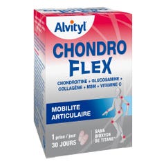 Alvityl Chondroflex 60 Tablets Joint Comfort