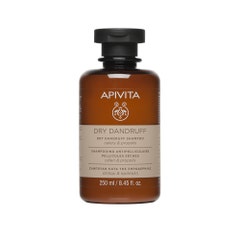 Apivita Anti-Dandruff Shampoo Pellicules Sèches 250ml