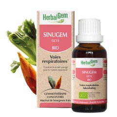 Herbalgem Complexes De Gemmotherapie Organic Sinugem for Respiratory Tract 30ml
