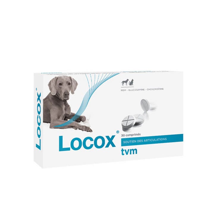 Joint support 30 tablets Locox TVM