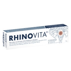 Rhinovita Rhinovita Nasal ointment dry & irritated nose 17g