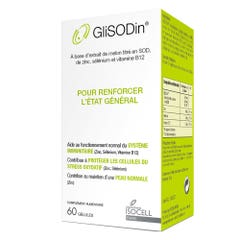 Isocell Glisodin General status 60 capsules