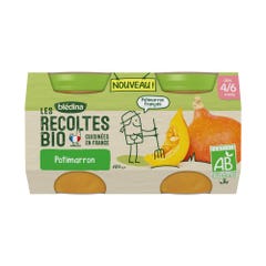 Blédina Les Recoltes Les Recoltes Organic Pumpkin Jars From 4 to 6 months 2x130g