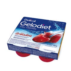 Delical Gelodiet Jellied Water 4x120g