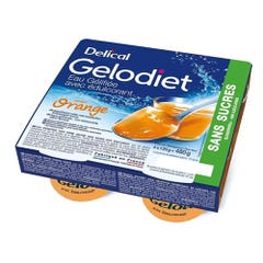 Delical Gelodiet Sugar-free gelled Water with sweetener 4x120g