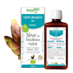 Herbalgem Depuraseve Detox Fresh Birch Sap 250ml