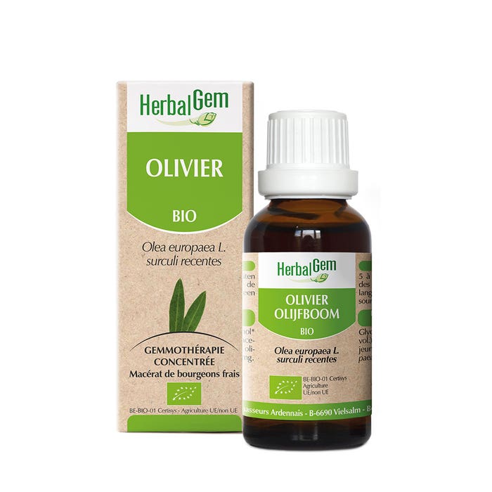 Olive Bioes 30ml Herbalgem