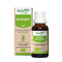 Herbalgem Rosemary Bioes 30ml