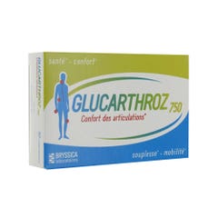Bryssica Glucarthroz 750 30 tablets