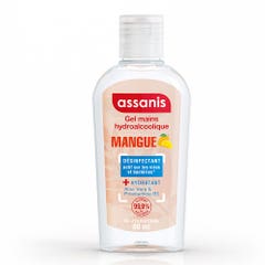 Assanis Perfumed Pocket Pocket Hand Gel Mango Fragrance Mangue 80ml