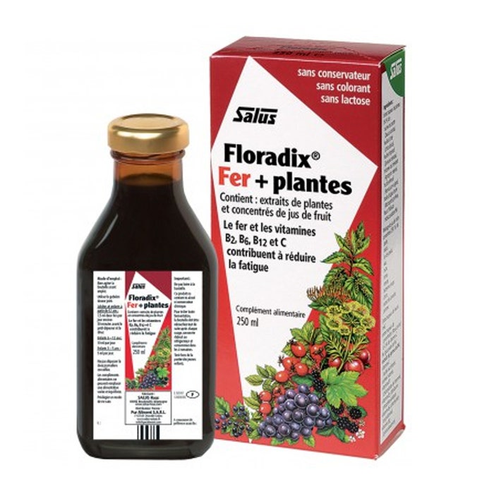 Floradix Iron + Plantes 250ml Salus