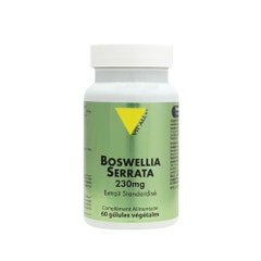 Vit'All+ Boswellia Serrata 230mg 60 vegetarian capsules