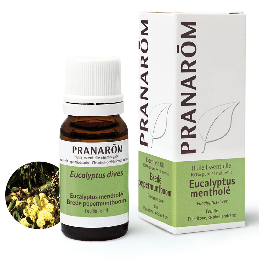 Pranarôm Essential oils Eucalyptus menthol 10 ml