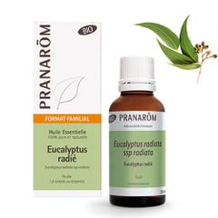Pranarôm Essential oils Eucalyptus Radie Bioes 30ml