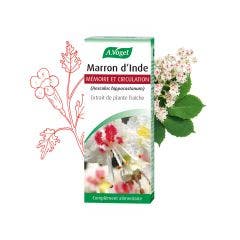 Fresh Horse Chestnut plant extract 50ml A.Vogel France
