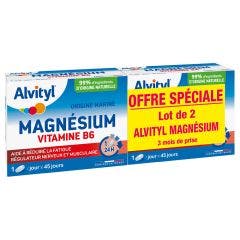 Magnesium Vitamin B6 2x 45 tablets Alvityl
