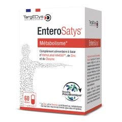 EnteroSatys® Metabolism 60 Gelules Métabolisme Targedys