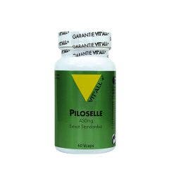+ Piloselle 60 Comprimes 325mg 325mg Vit'All+