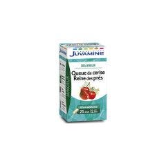 Queue De Cerise Reine Des Pres Draineur 50 Gelules Juvamine