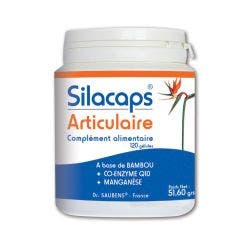 Silacaps Joints X 120 Capsules Labo Sante Silice