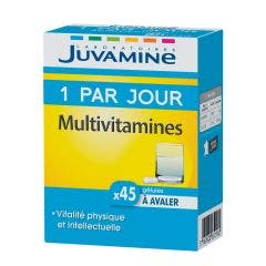 Multivitamins 1 Per Day X 45 Capsules 45 Gélules Juvamine