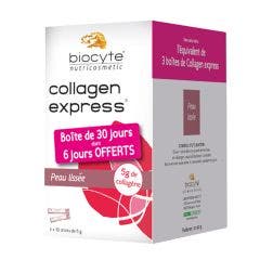 Collagen Express Nutricosmetics 3 X 30 sticks Biocyte