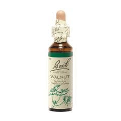 Bach Flower Walnut 20ml Fleurs de Bach Original
