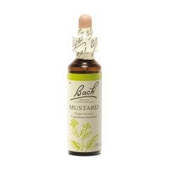 N°21 Mustard 20ml Fleurs de Bach Original