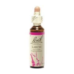 Bach B119 Larch 20ml Fleurs de Bach Original