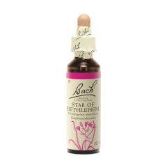 N°29 Star Of Bethlehem 20ml Fleurs de Bach Original