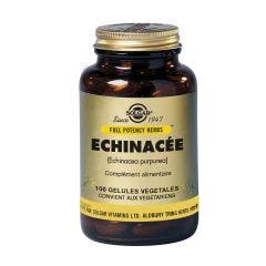 Echinacea Fp 100 capsules Solgar