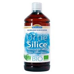 Ortie-silice Buvable Bio Souplesse Jeunesse 1l Biofloral