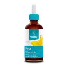 Organic Saint John's Wort Dropper 60ml Les Extraits de Plantes Bio Millepertuis Weleda