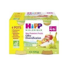 Delices De Fruits Baby Food Diet Diversification From 4 To 6 Months 4x125g Hipp