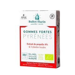 Protective Gums From The Pyrenees Formula + 30g Ballot-Flurin