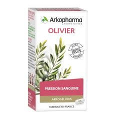 Olive Tree 45 Gelules 45 Arkogélules Arkopharma