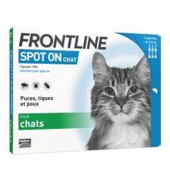 Spot On Chat 6 Pipettes De 0.5ml Frontline