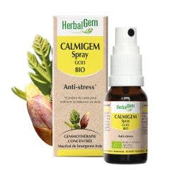 Calmigem Spray organic anti-stress 15ml Complexes De Gemmotherapie Herbalgem