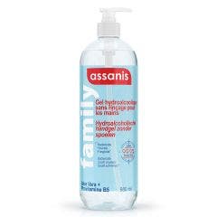 Antibacterial Gel 980ml Family Assanis