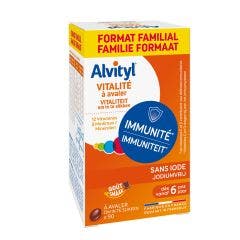 Vitality 90 Comprimes Gout Chocolat Alvityl
