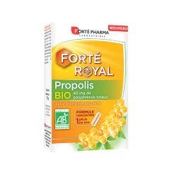 Propolis Bio 15 gélules Forté Royal Forté Pharma