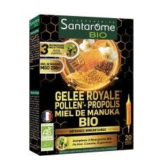 Gelée Royale Pollen Propolis Miel de Manuka Bio 20 ampoules Santarome