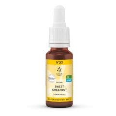 N°30 Elixir Biologiques Originales D'angleterre Sweet Chestnut 20ml Lemon Pharma