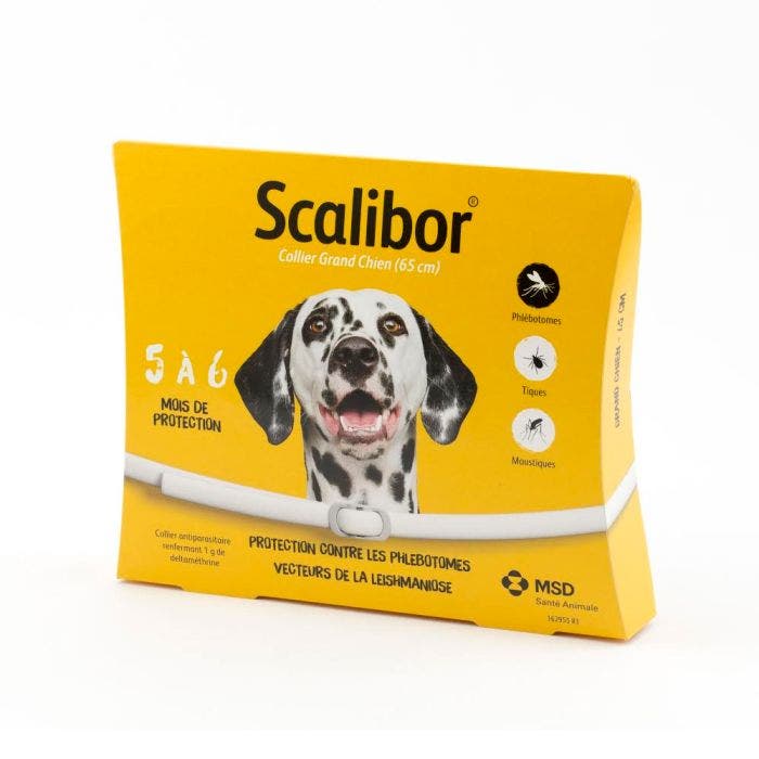 Big Dog Collar 65cm - Scalibor - Easypara